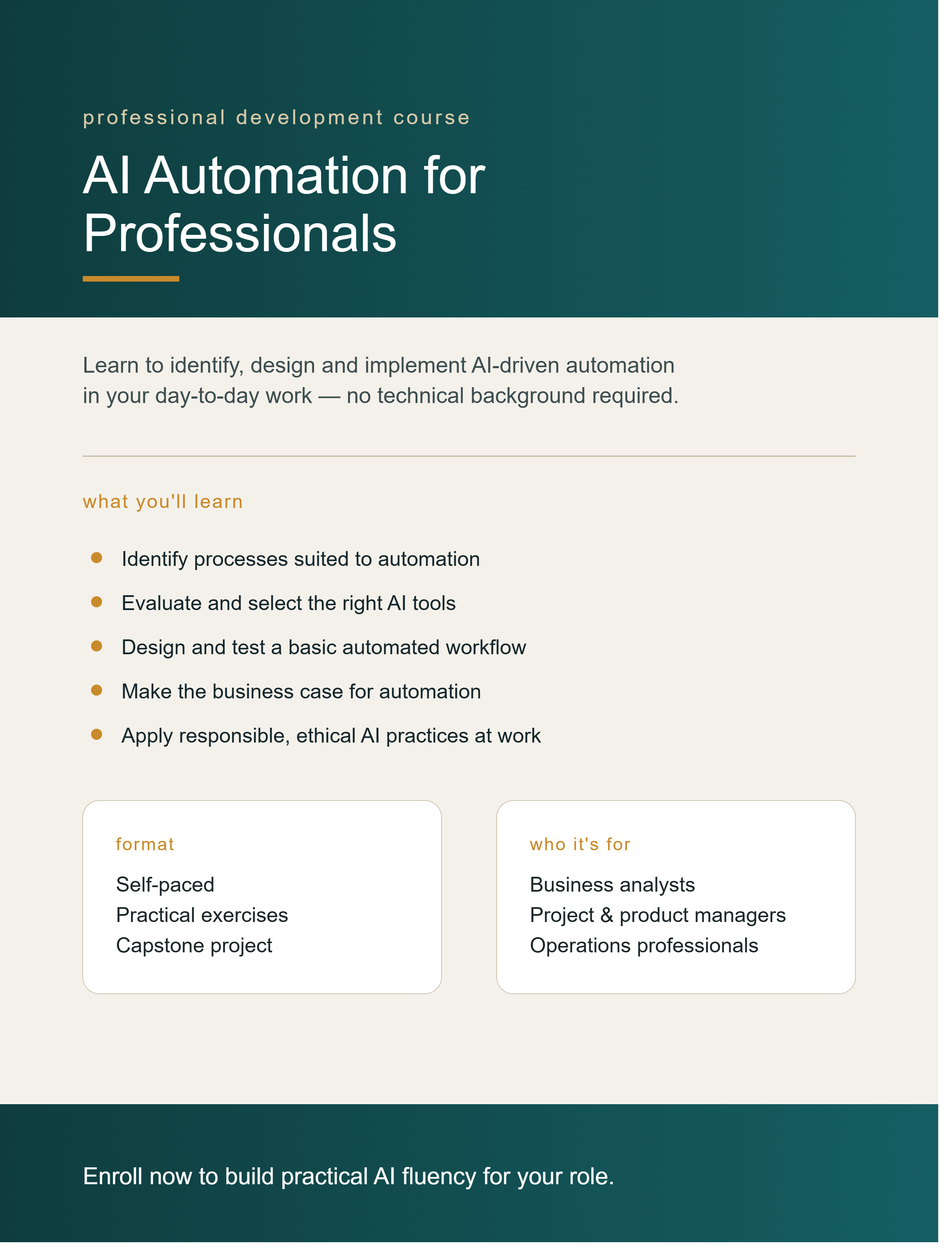 Artificial Intelligence Automation for Professionals